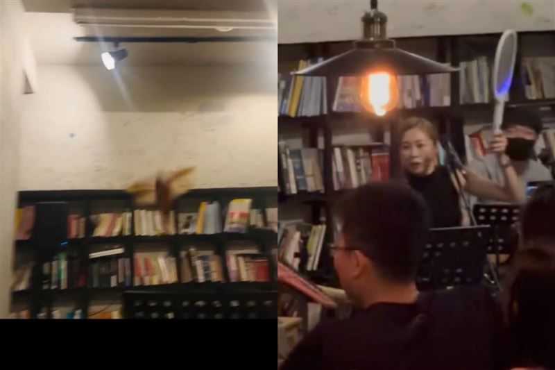 張棋惠音樂會突然飛出一支胖小強,她拿出電蚊拍應戰。(圖/翻攝自Threads @hueiwen_91)