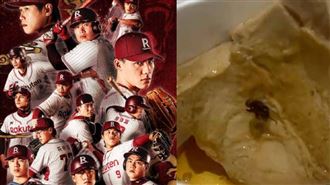 樂天伙食「蒼蠅活蛆雙拼」餐點噁爛畫面曝