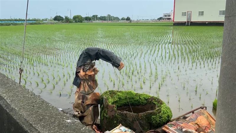 青農疑似為了省錢，馬達上沒有安裝漏電斷路器，導致漏電時無法及時切斷電源。(圖／翻攝畫面)