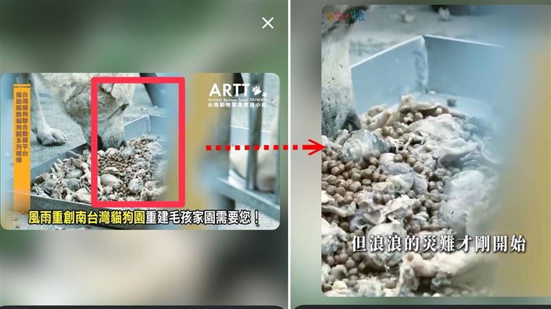 平台遭控盜「狗泡水照」詐騙　網：才剛捐