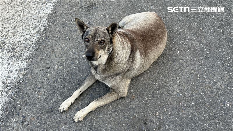 性侵母狗被抓包!褲沒穿好…嫌驚人身分曝