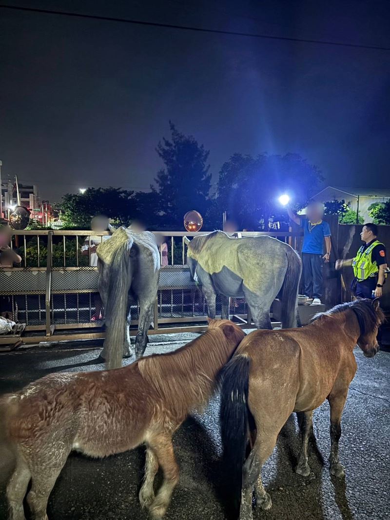 警方在現場協助管制,飼主在半小時後匆忙趕來。(圖/翻攝畫面)
