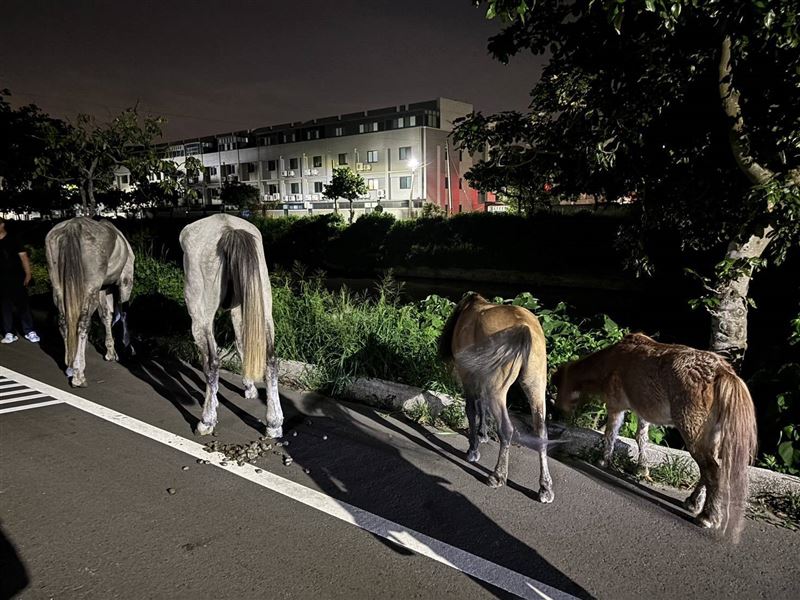 警方在現場協助管制,飼主在半小時後匆忙趕來。(圖/翻攝畫面)