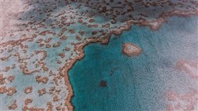 澳洲最新研究指出，大堡礁在過去一年經歷歷來最嚴重的珊瑚覆蓋率下降。（東方IC）