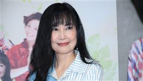 施孝榮率領鄭怡、于台煙、王瑞瑜、李明德等四位歌手舉辦記者會。（圖／記者鄭孟晃攝影）