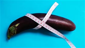 陰莖、陰莖尺寸、生殖器、陰莖長度（示意圖／pexels）