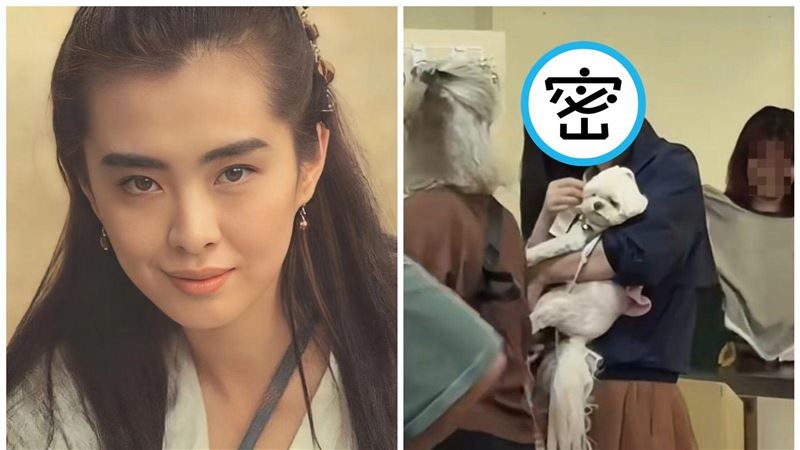 野生王祖賢抱愛犬穿拖鞋買菜　一亮點超潮