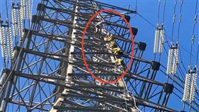 電塔,龜山,遺體,電纜,救援,搬屍（圖／翻攝畫面）