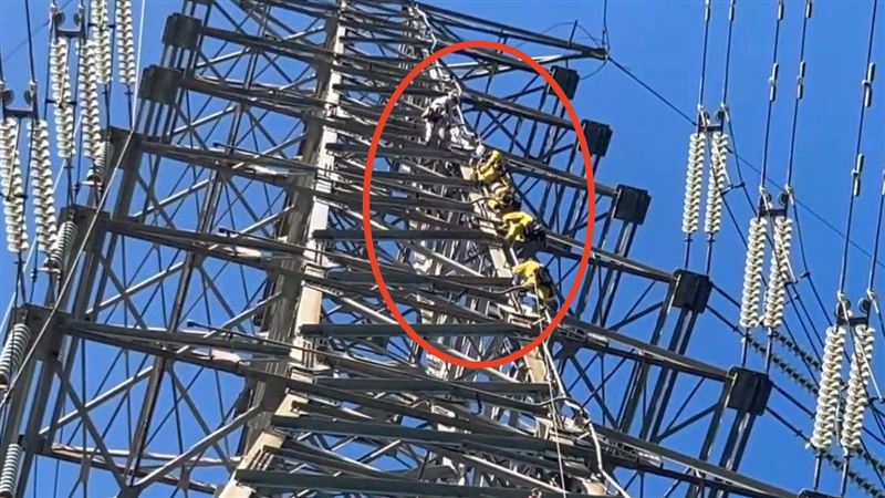 台電人員以及特搜人員,今(7日)一早攀爬電塔搬屍。(圖/翻攝畫面)