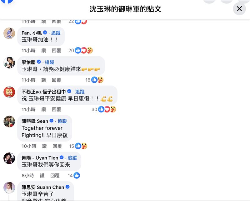 沈玉琳的貼文湧入眾多演藝圈好友留言。（圖／翻攝自臉書）
