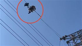 電塔,龜山,遺體,電纜,救援,搬屍（圖／翻攝畫面）