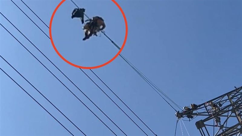 早上才與母通話!泰男來台11天掛電塔亡