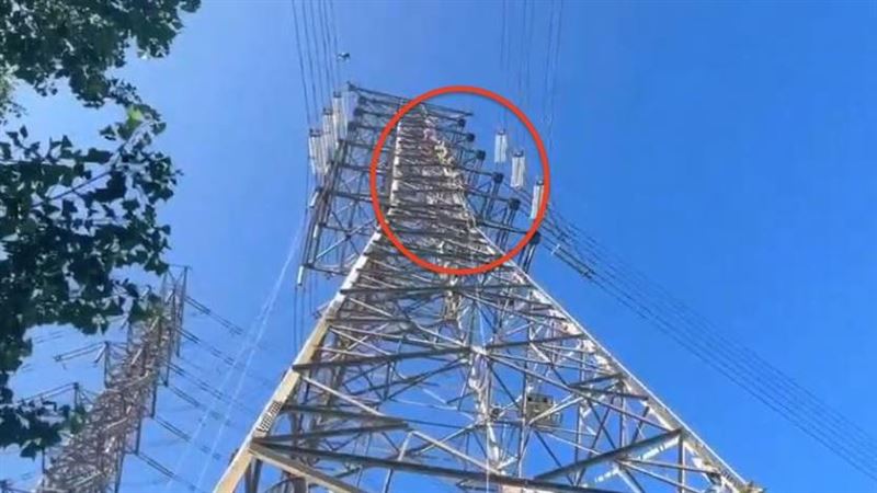 男屍掛電塔!高大成揭「1動作」應為輕生