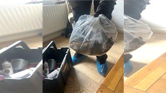 驚悚！黑影入侵民宅誤當貓　竟是56cm巨鼠