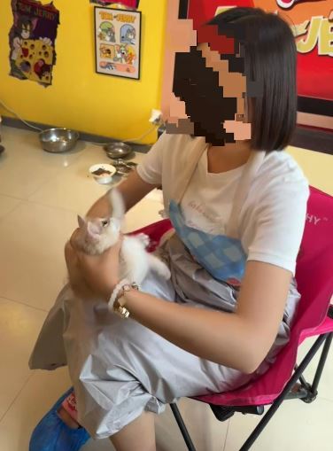 影片中看到女子反覆扭轉小貓身體的動作,小貓已經被嚇的不敢反抗。(圖/翻攝自微博)