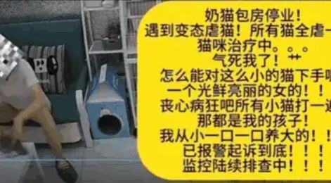 女子用力捶打貓咪頭部、摔擲在地。(圖/翻攝自微博)