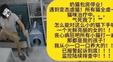 女子用力捶打貓咪頭部、摔擲在地。(圖/翻攝自微博)