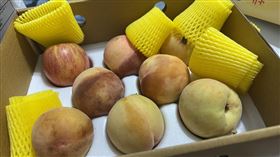 有網友昨天在Threads發文控訴，6日在拉拉山一家攤商買了5盒水蜜桃，回家拆開紙箱後發現有2盒被業者調包，其中1盒全爛，且竟還有一顆蘋果，氣得打電話向店家理論，並呼籲遊客要抵制不老實的店家。