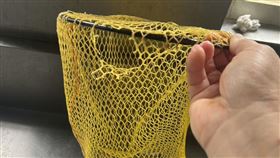 釣蝦場網子破洞，釣中蝦子全放生，業者拒賠(圖／翻攝畫面)