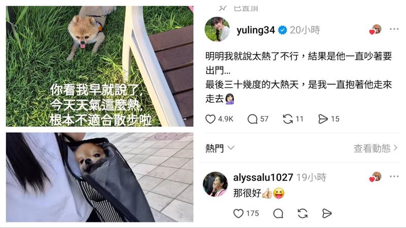 邊荷律和粉絲分享遛狗趣事。（圖／翻攝自邊荷律IG、翻攝自hydb3424 Threads）