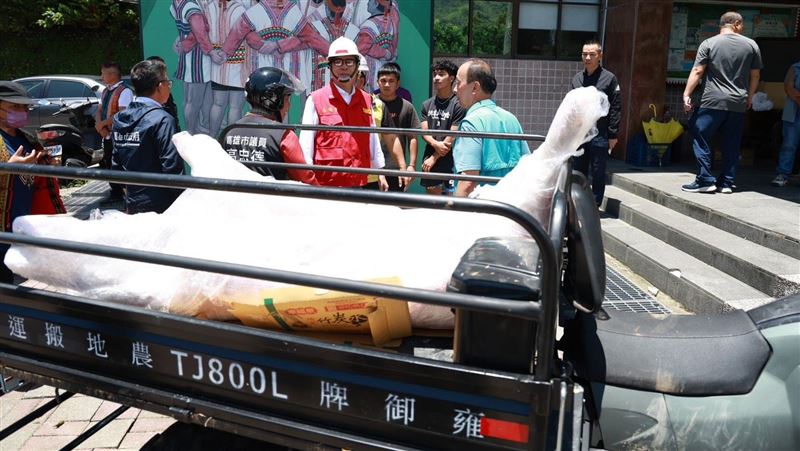 陳其邁送「整頭豬」 農地搬運車意外暴紅