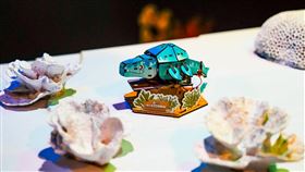 屏東海生館八月活動精彩登場！分享回憶殺抽夜宿體驗　還有鯊寶見面會（業配勿用）