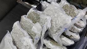 桃園機場,大麻,走私,轉機（圖／翻攝畫面）