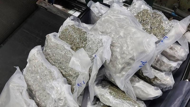 法國男模桃園轉機 帶2箱「乾燥葉」慘了