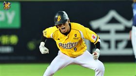 ▲王威晨敲出再見安。（圖／中信兄弟提供） 