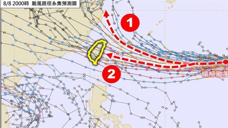 楊柳是否侵台2關鍵曝光　「這天」掀牌！