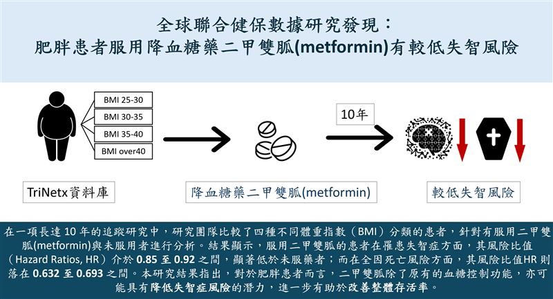 肥胖患者服用降血糖藥「二甲雙胍(Metformin)」顯著降低失智風險。(圖/北醫大提供)