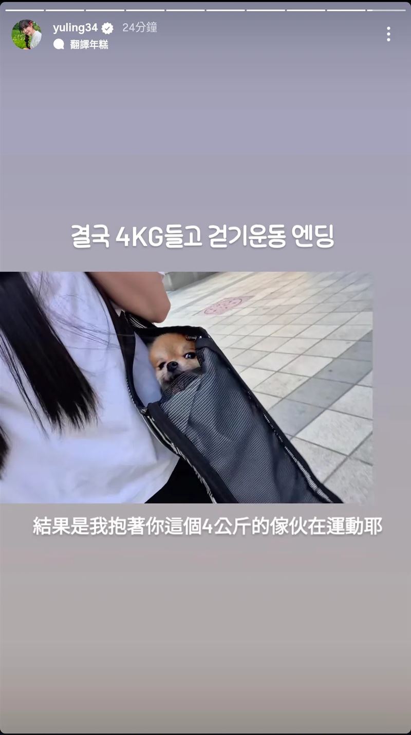 邊荷律無奈頂著30幾度熱天揹著4公斤愛犬行動。（圖／翻攝自yuling34 IG）
