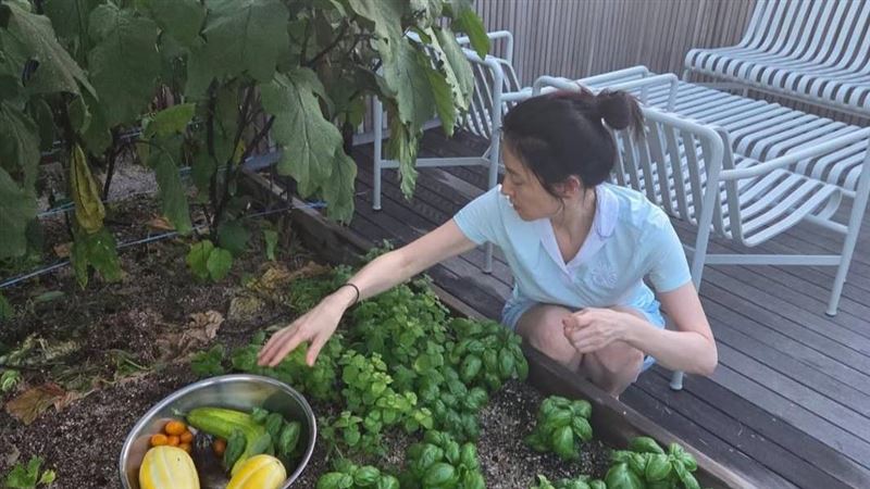 李英愛有一個屬於自己的菜園。(圖/翻攝自李英愛IG)