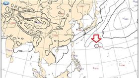 鄭明典今（10）天午間在臉書貼圖發文，他寫道，硬擠在高壓內的楊柳！（圖／翻攝自鄭明典臉書）