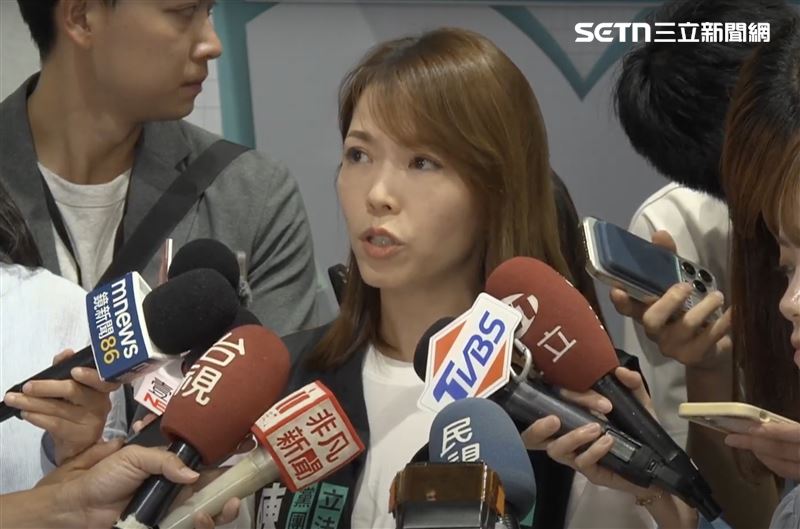 陳智菡表示，課程黨團已經在準備，會透過一次次課程，讓後8位委員馬上銜接、無縫接軌。（圖／翻攝畫面）