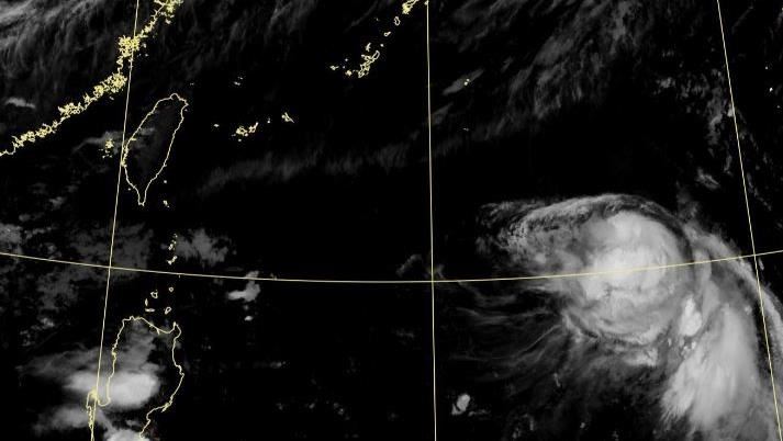 楊柳有減弱跡象 專家估「會撐得很辛苦」
