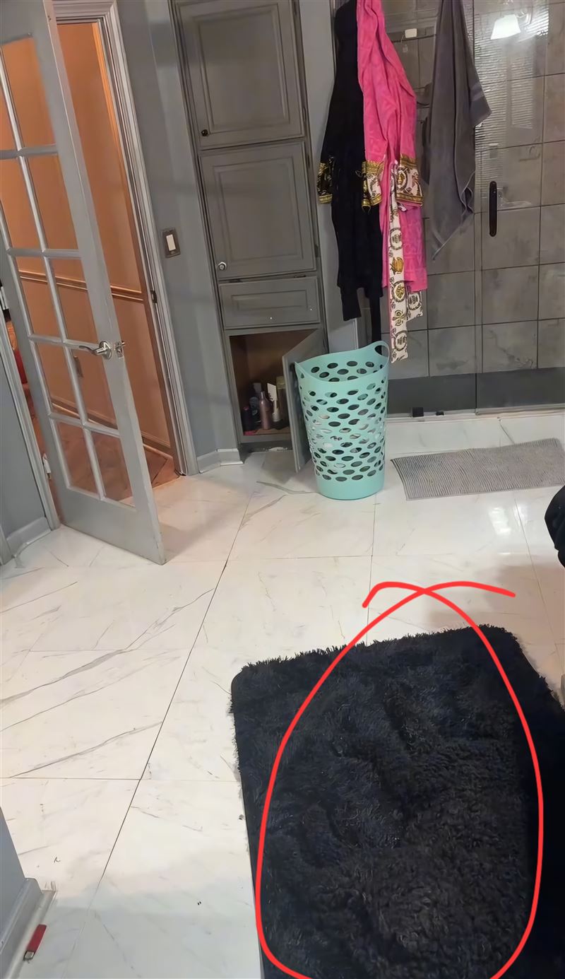 原PO揭曉答案，狗藏在黑色的地毯上。（圖／翻攝自Reddit）