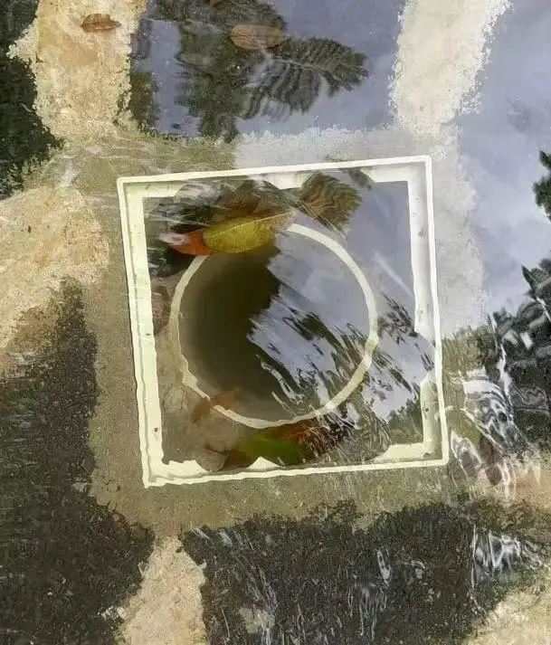6歲女童左腿慘遭戲水池的排水口吸住，4大人合力仍無法救出女童。（圖／翻攝自微博）