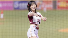 籃籃外型亮眼。（圖／樂天桃猿提供）