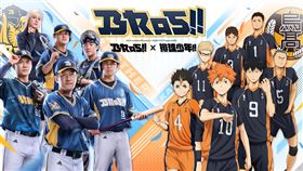 ▲中信兄弟與《排球少年!!》聯名主題日。（圖／中信兄弟提供）