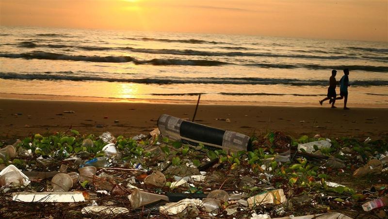 海上漂「垃圾」突動了！牠被救待船邊不走