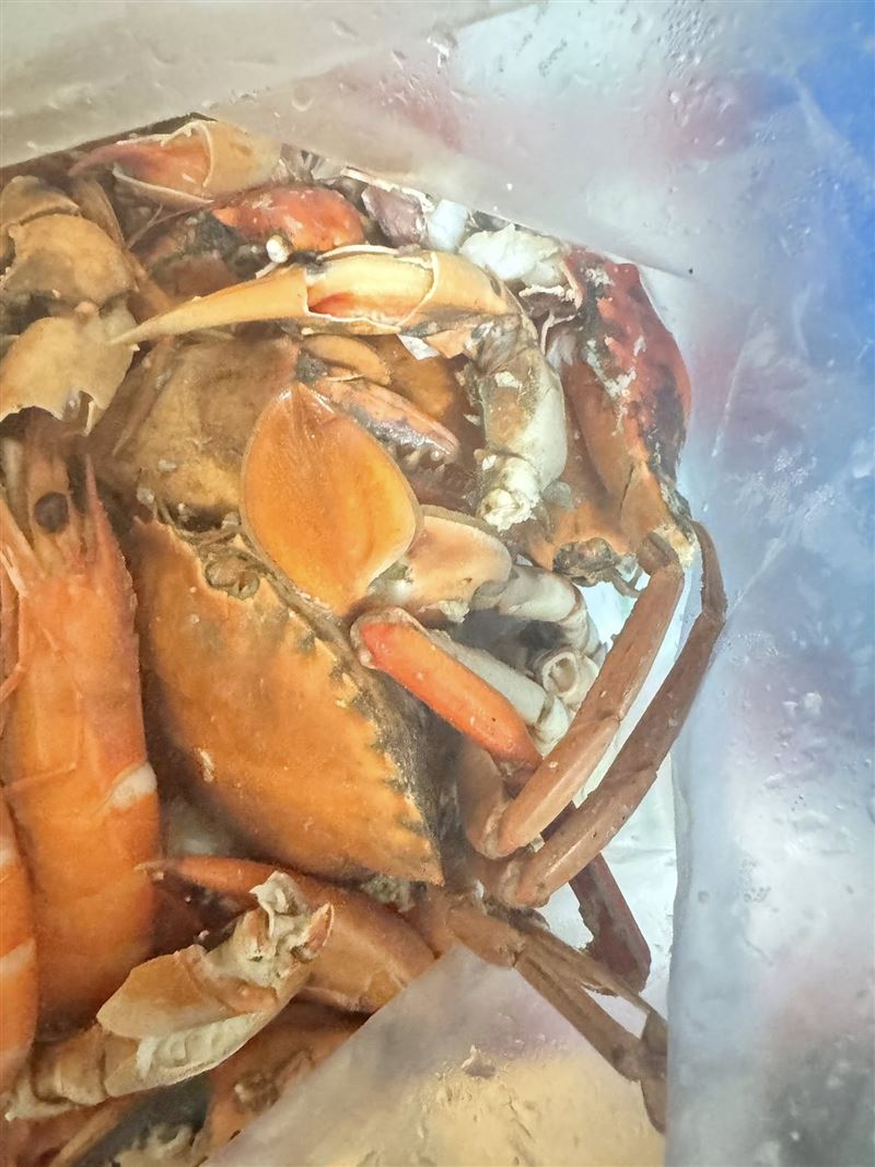 謝先生在布袋漁港花了2000元買螃蟹，請餐廳代客料理，卻吃出一肚子火氣。（圖／翻攝爆料公社公開版）