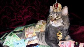 ▲KPMG報告指出AI、國防與航太科技成2025年Q2創投熱錢焦點，025年第二季全球創投募資1,010億美元，熱度仍維持高檔。KPMG預估美國關稅與稅法走向將成第三季創投最大變數。（示意圖／PIXABAY）