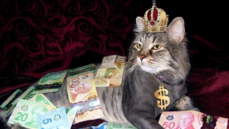 有錢人都這樣在玩錢！資本圈最愛這種玩法