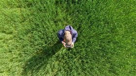 ▲上曜建設與世紀民生自8月12日起同步停牌，重大訊息引市場關注，兩家公司產業不同，背後股權結構卻有很大關聯，同日停牌，法人推測涉及集團戰略布局。（示意圖／PIXABAY）