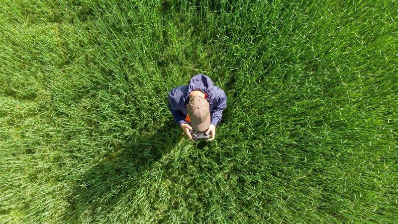 快訊／上曜、世紀*同日停牌背後玄機