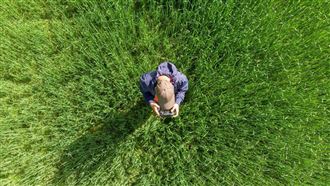 快訊／上曜、世紀*同日停牌背後玄機