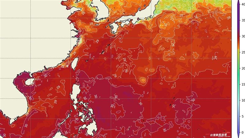 楊柳海警！粉專見路徑驚：走可活下去的路