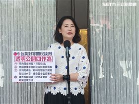 ▲民進黨黨團幹事長吳思瑤於議場前接受聯訪。（圖／記者盧素梅攝影）