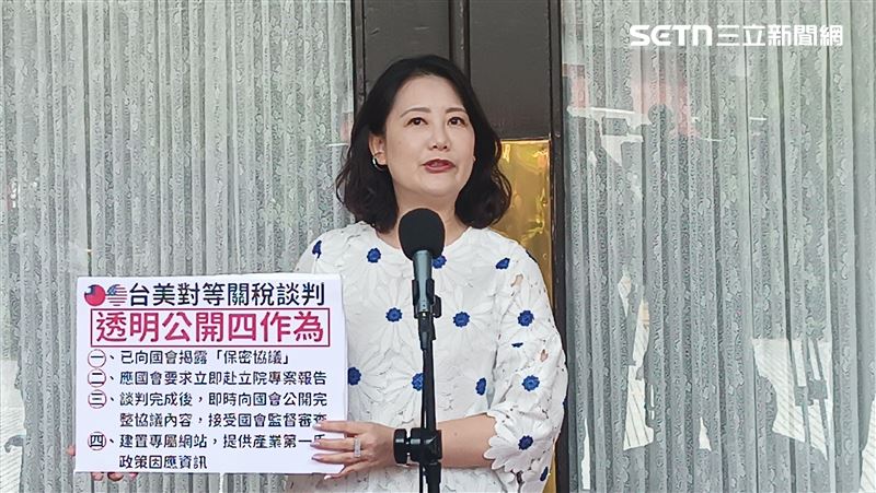 民進黨黨團幹事長吳思瑤於議場前接受聯訪。(圖/記者盧素梅攝影)